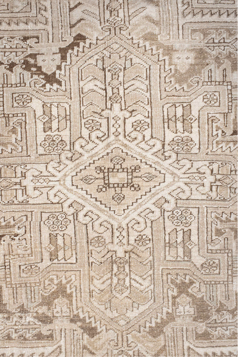 Antique Heriz Area Rug (6' x 9')
